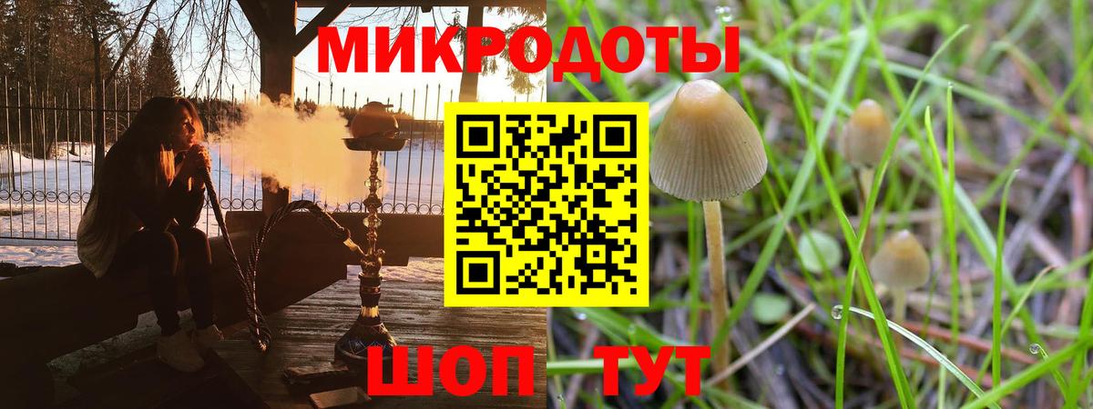 Галлюциногенные грибы GOLDEN TEACHER  Вход с VPN  Бахчисарай 